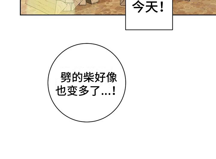 第5章：劈柴16
