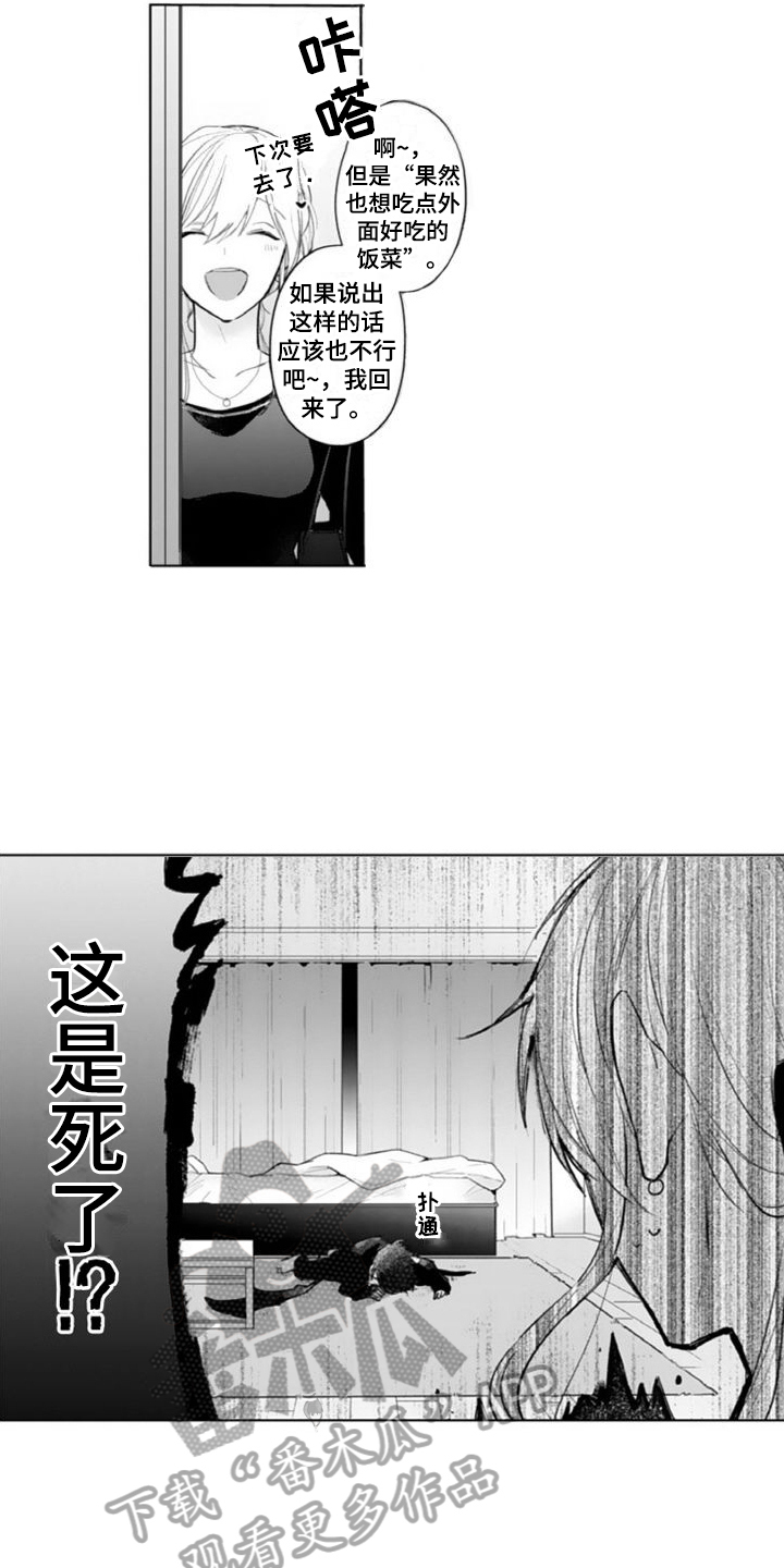 第4章：查询13