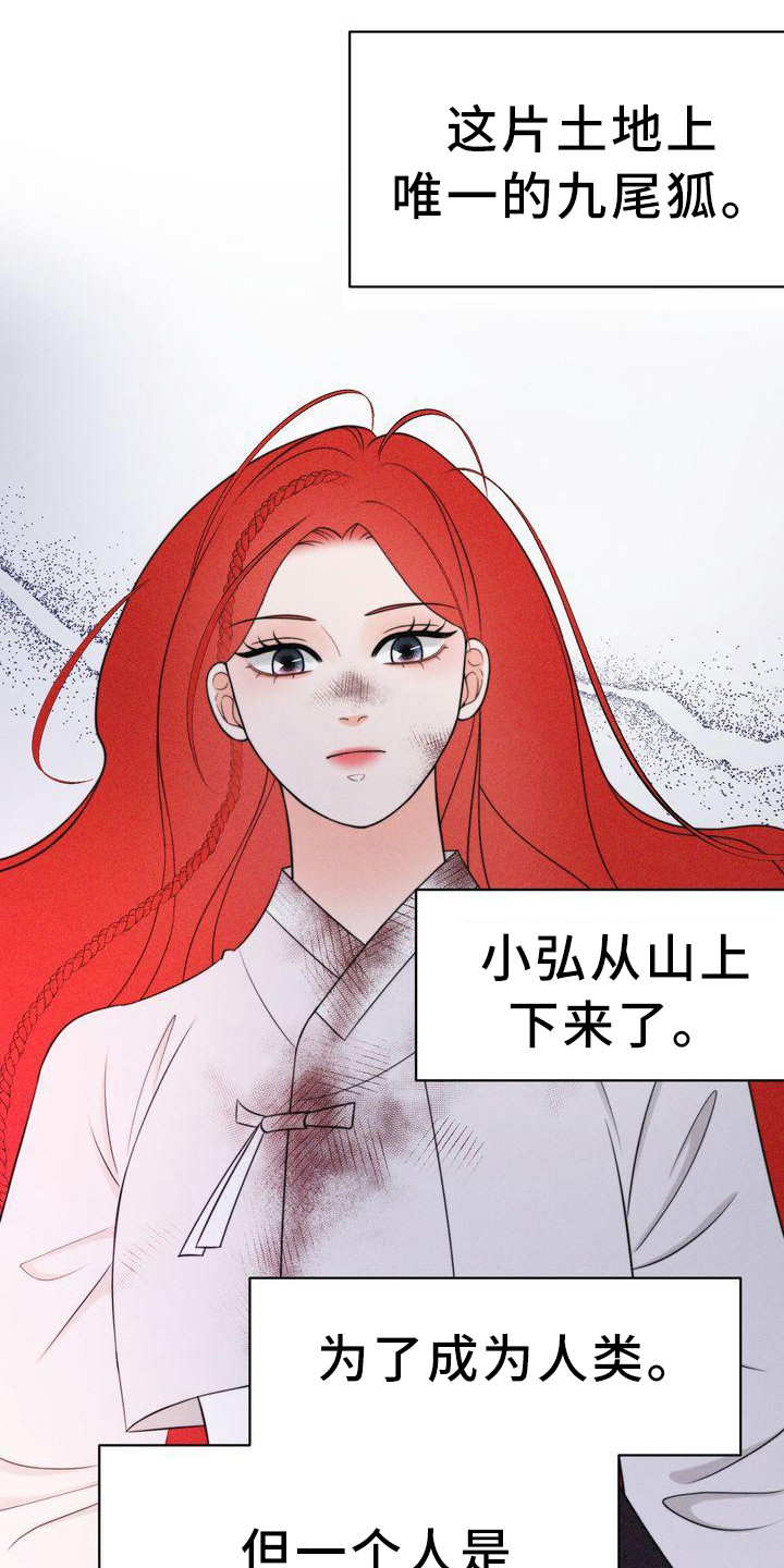 第14章：有主意了6