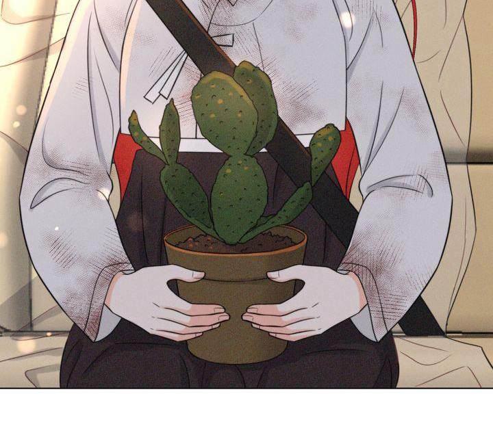 第19章：被迷惑19