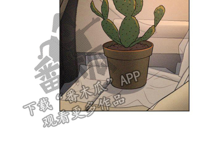 第21章：一闪而过19