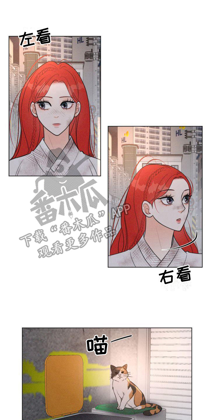 第22章：小混混13