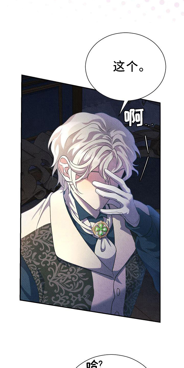 第27章：表白12