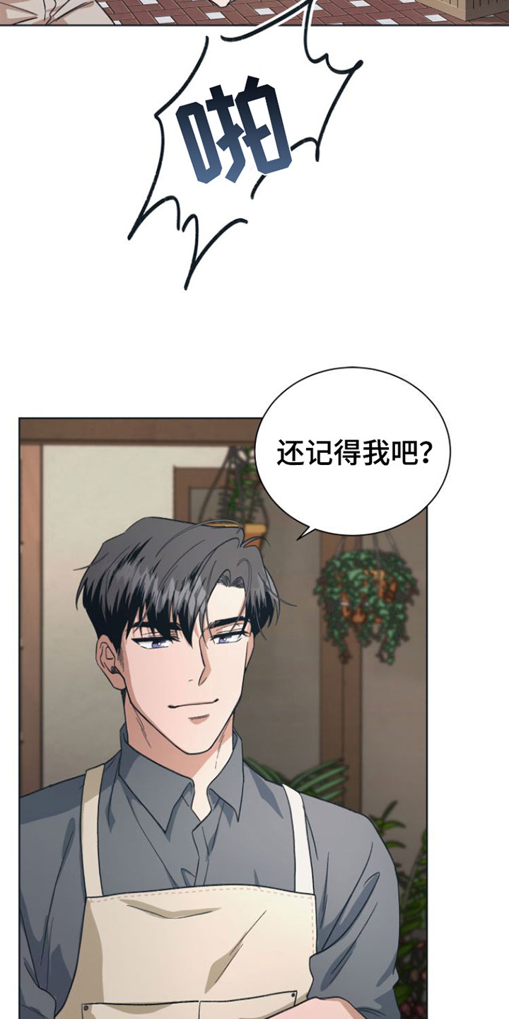 第6章： 开拍19