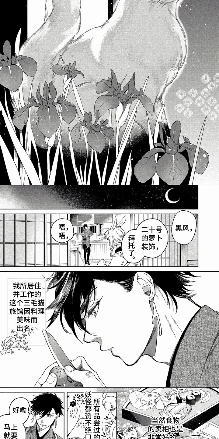 第1章：灾厄之狐1