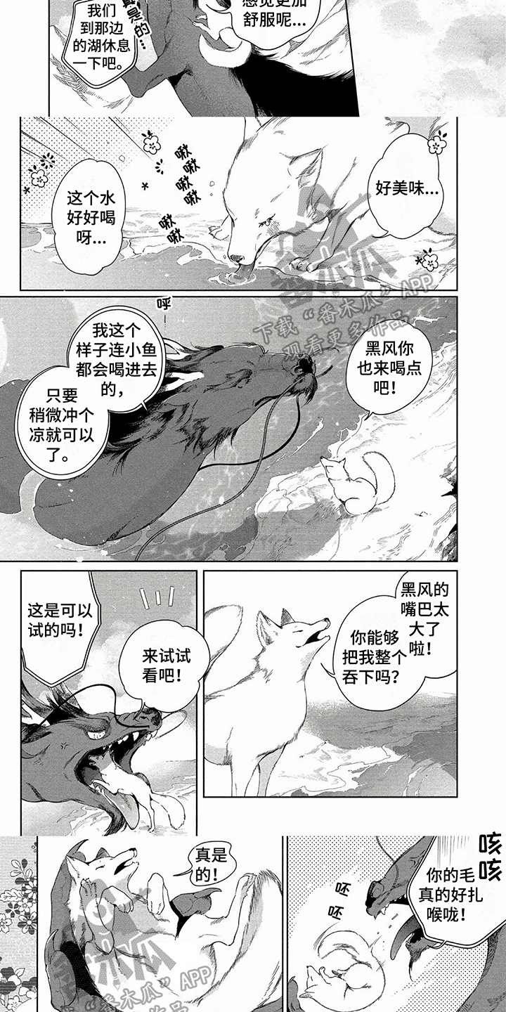 第8章：寻找4
