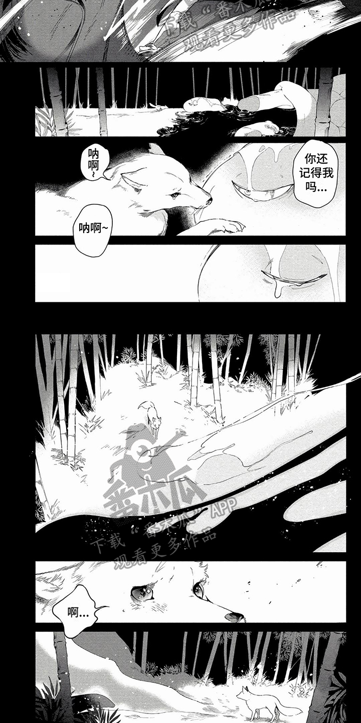 第13章：失败1