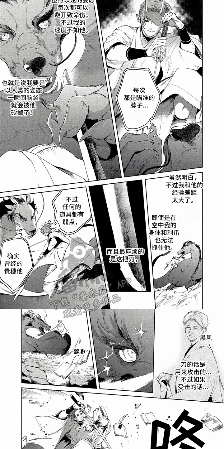 第33章：对决5