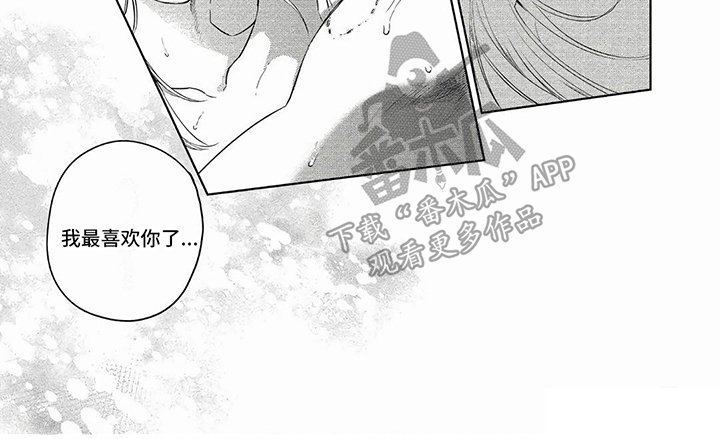 第35章：了解更多6