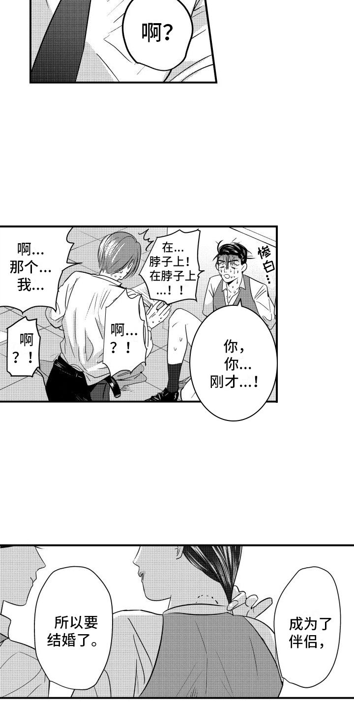 第3章：伴侣6