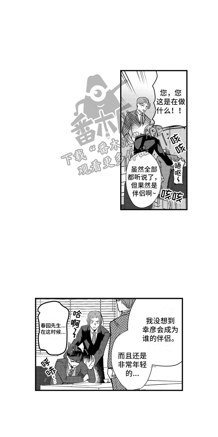 第15章：针对11