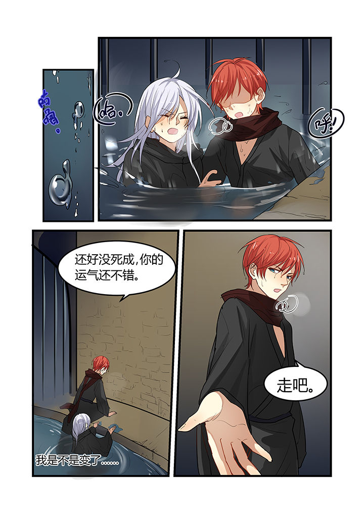 第20章：5
