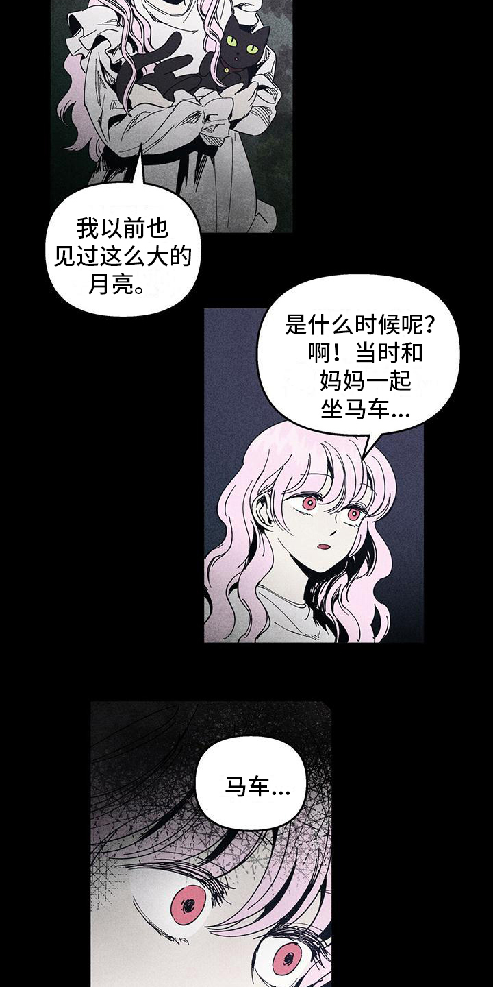 第31章：记忆缺失8