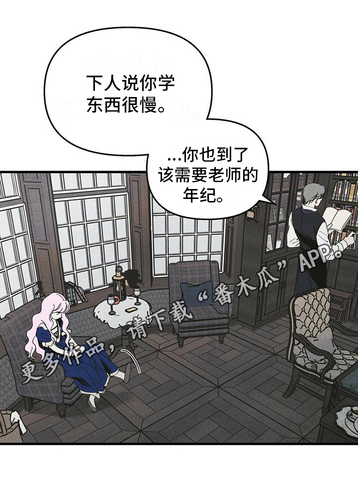 第30章：影子17