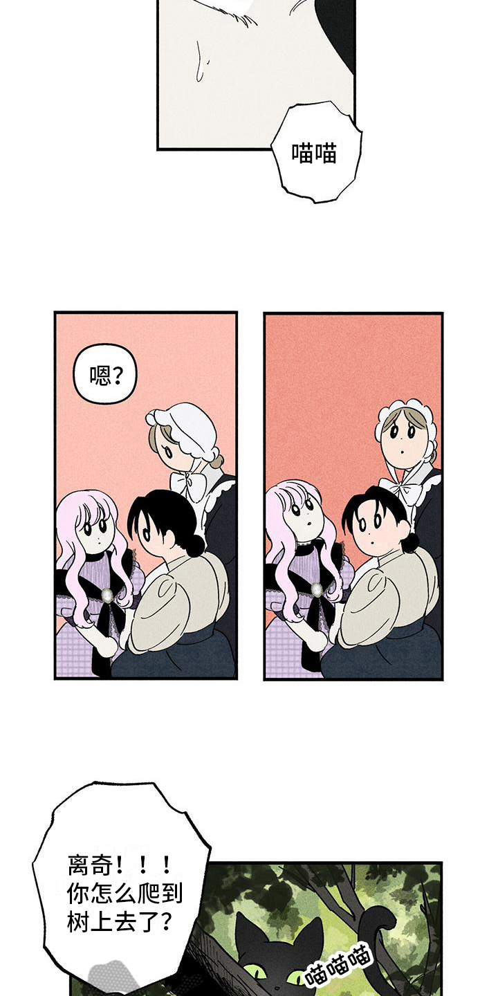 第25章：询问13