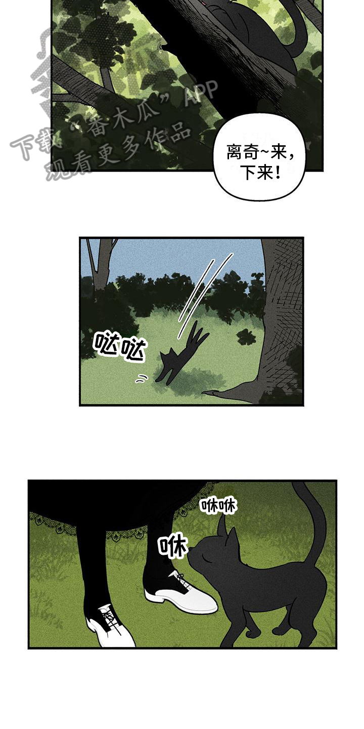第25章：询问14