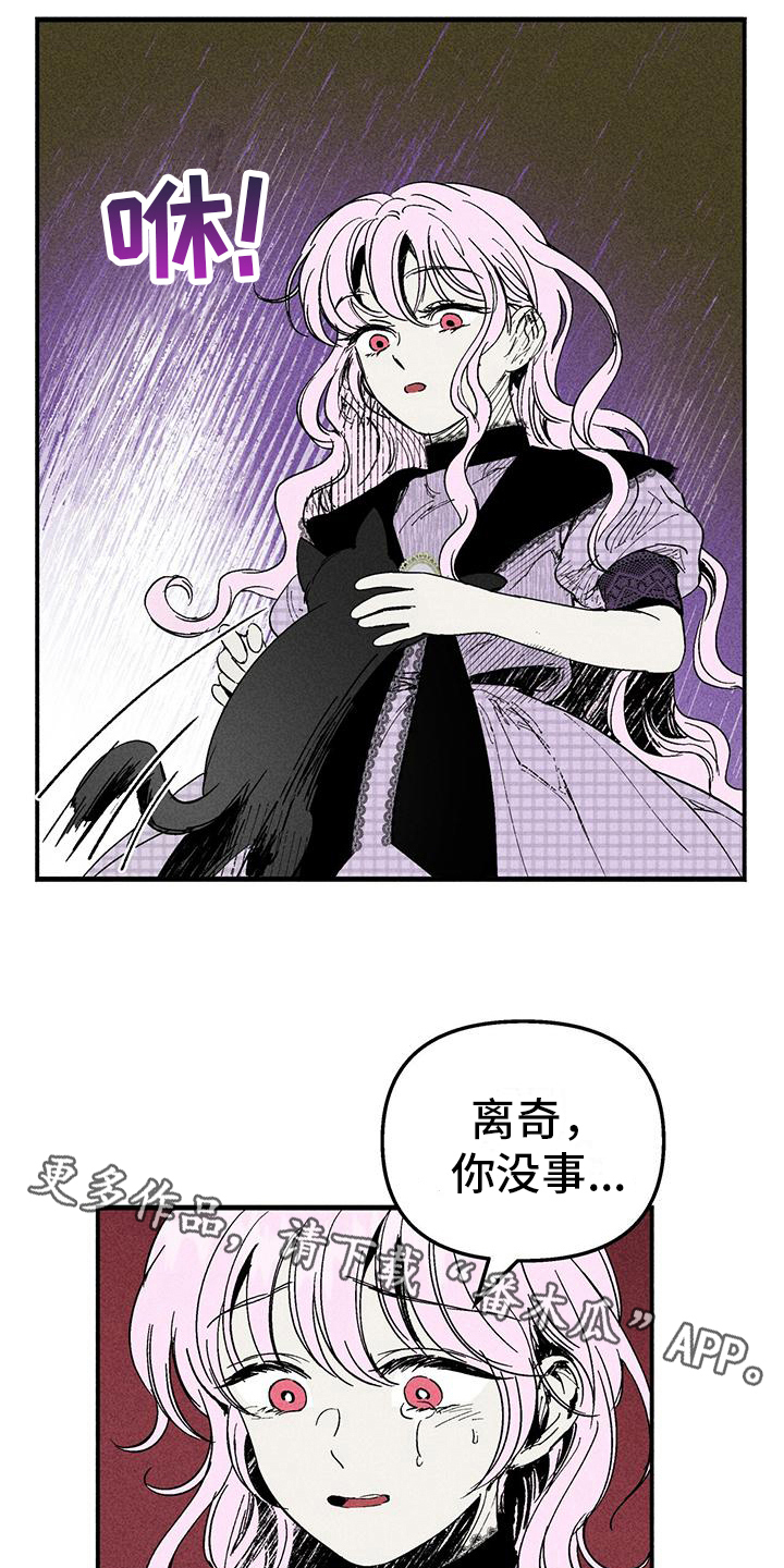 第25章：询问15