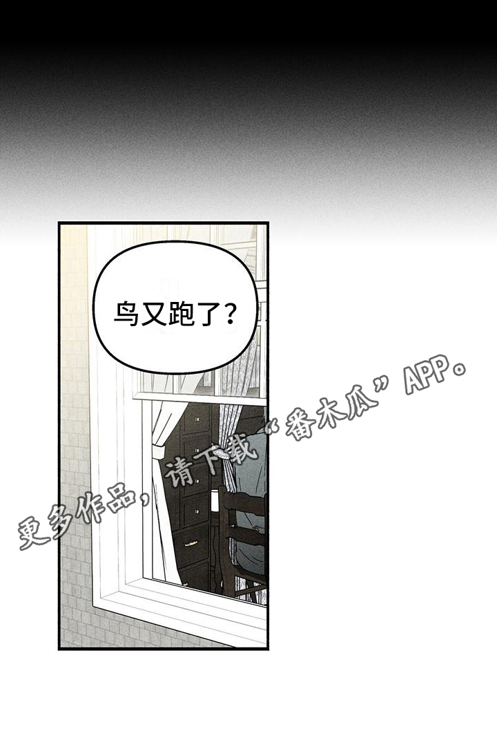 第11章：双胞胎17