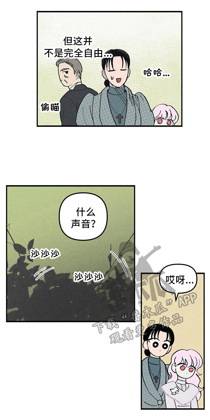 第14章：我保护你17