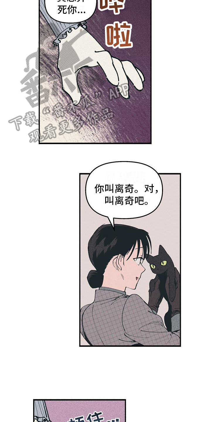 第18章：迟疑5