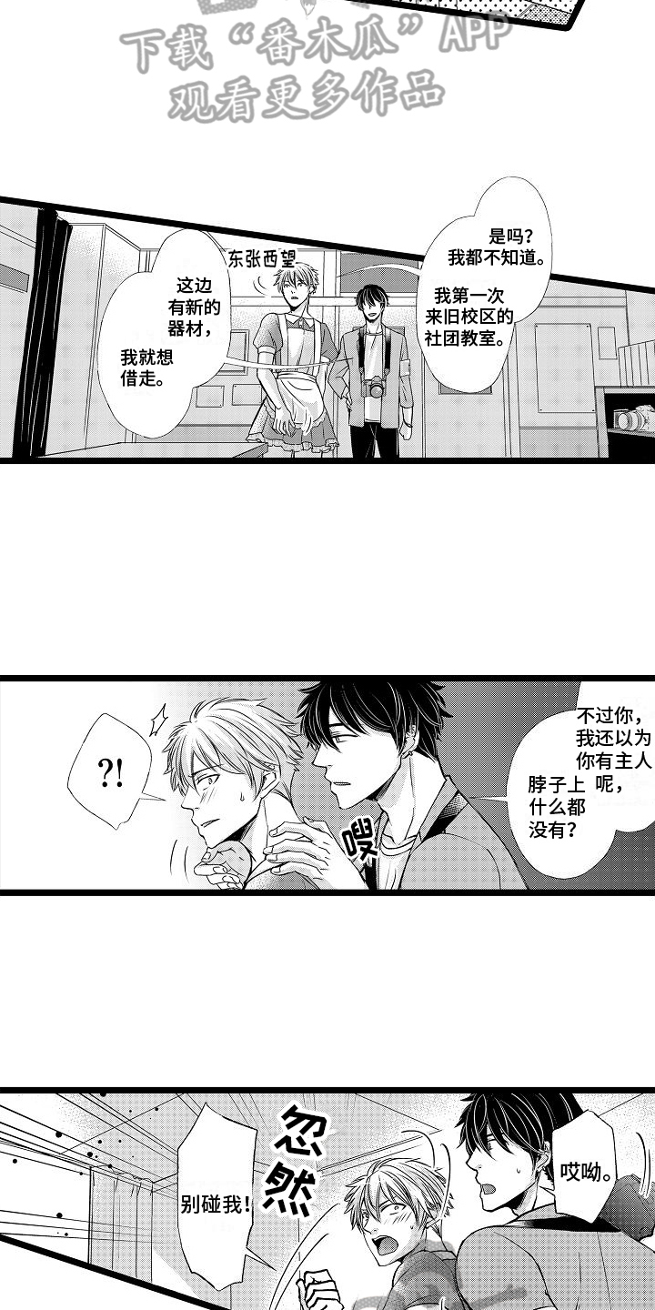 第8章：陷阱14