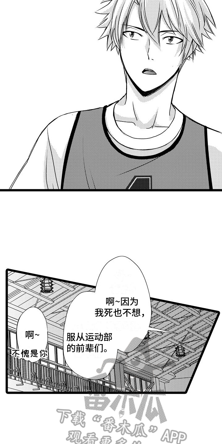 第13章：球类大会10