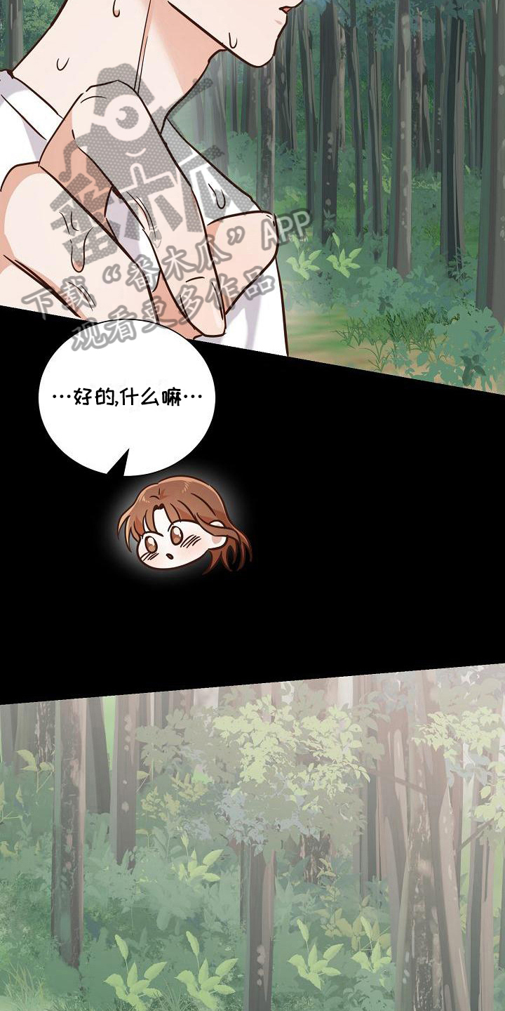 第15章：距离5