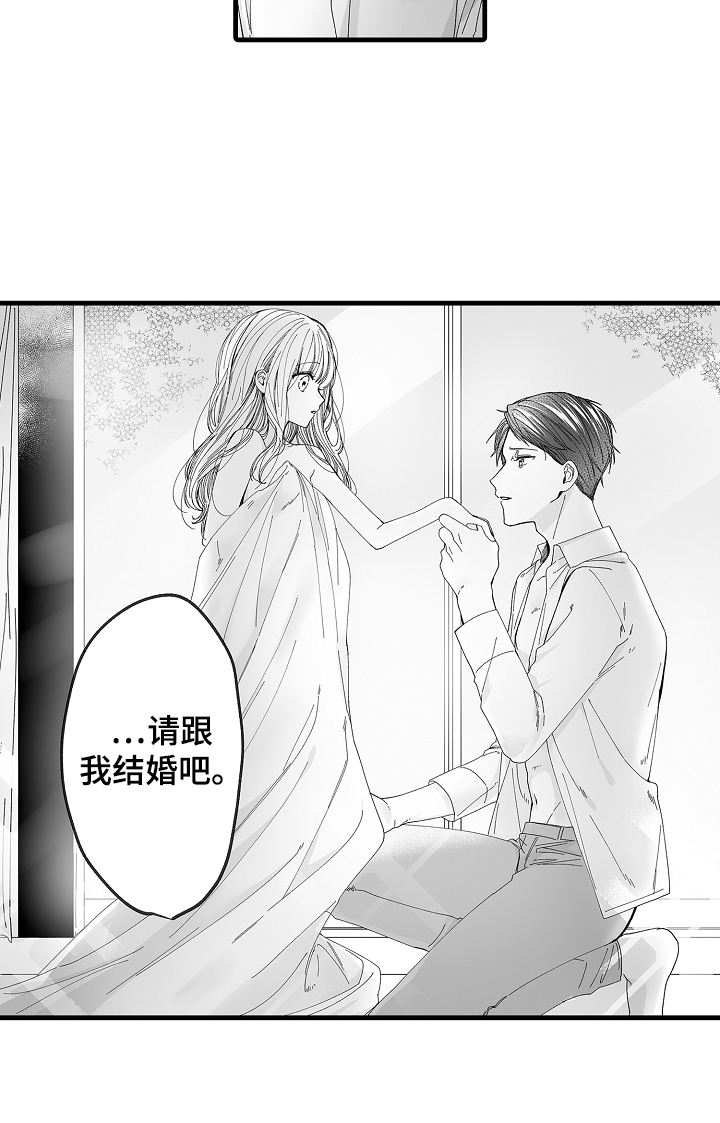 第3章：求婚15