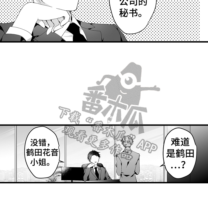 第5章：真心喜欢你15
