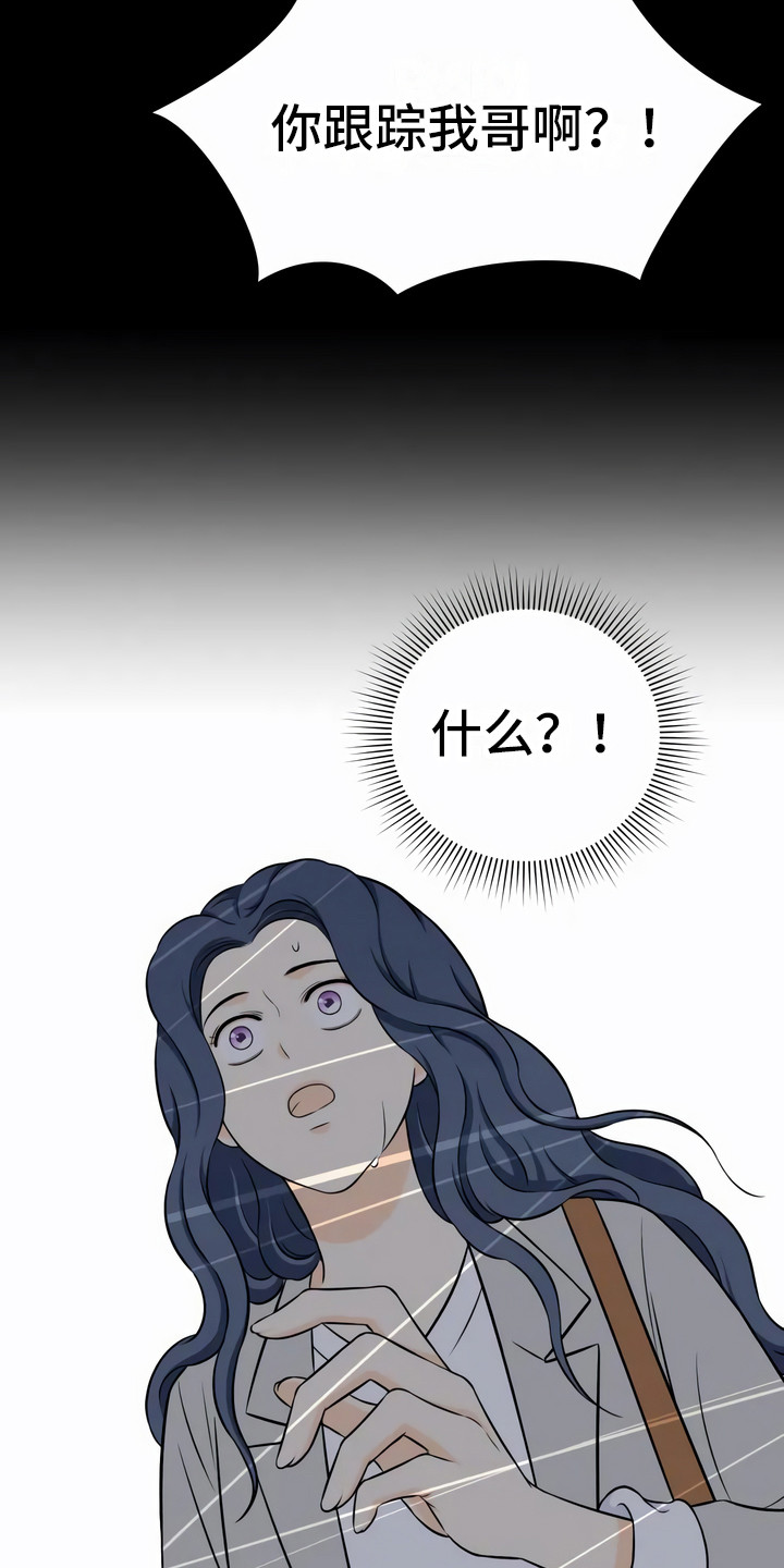 第5章：双胞胎21
