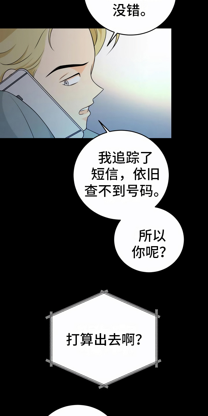第11章：诱饵18