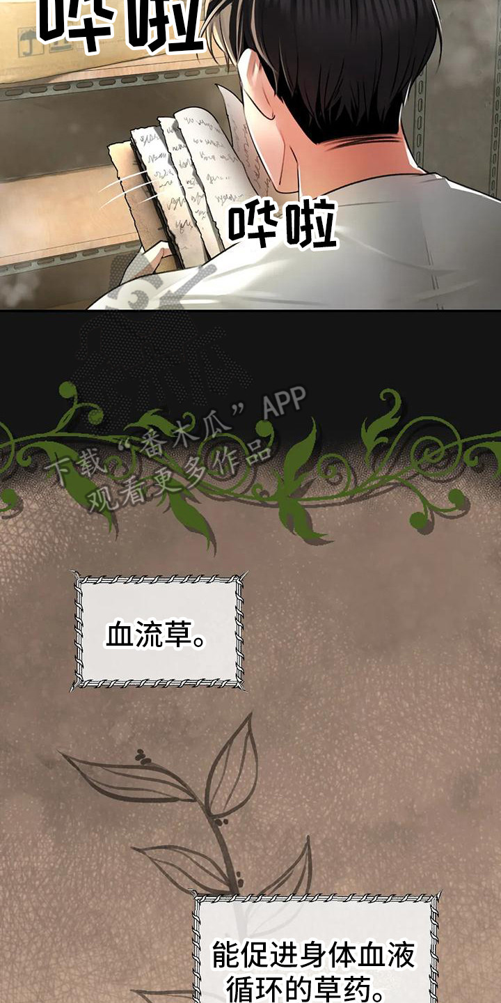 第6章：血流草19