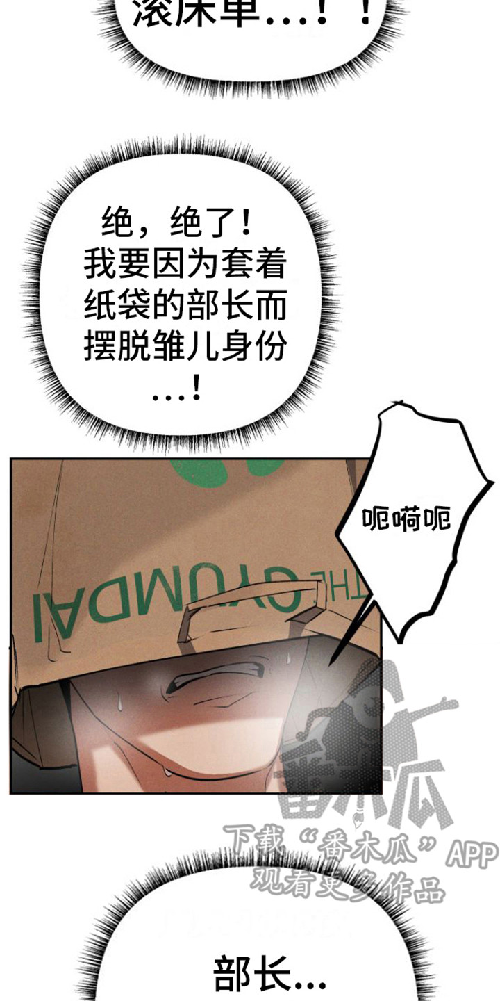 第7章： 头套13