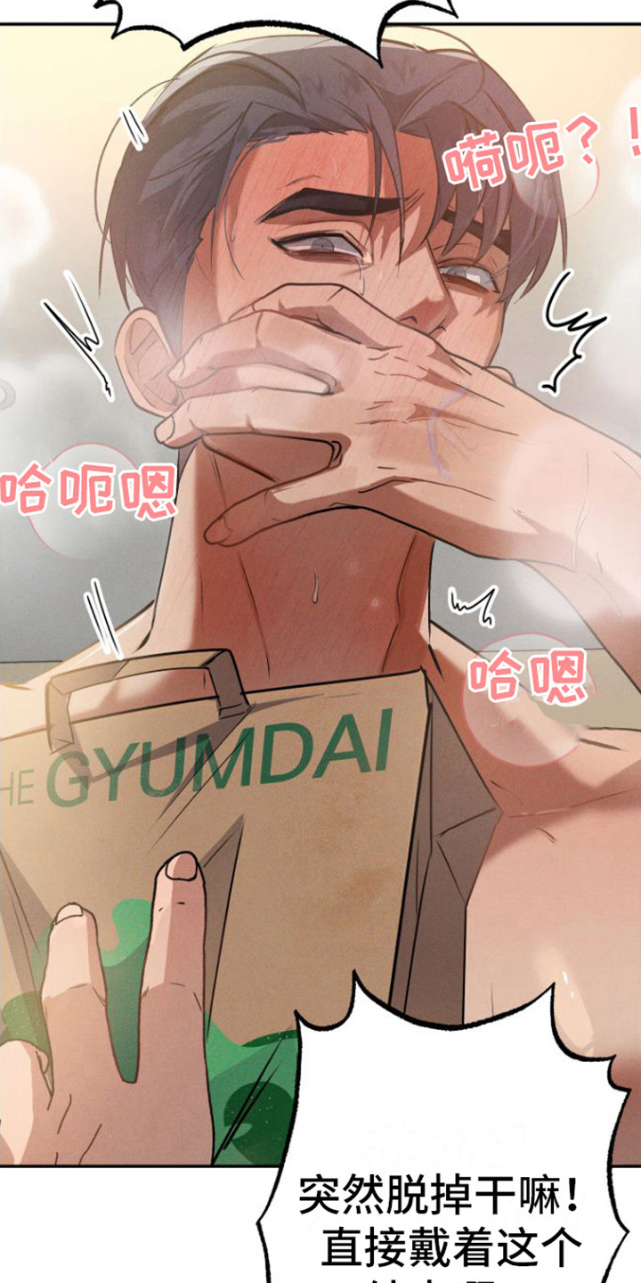 第7章： 头套21