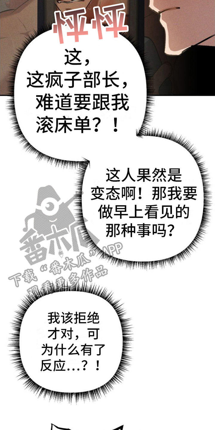 第7章： 头套7