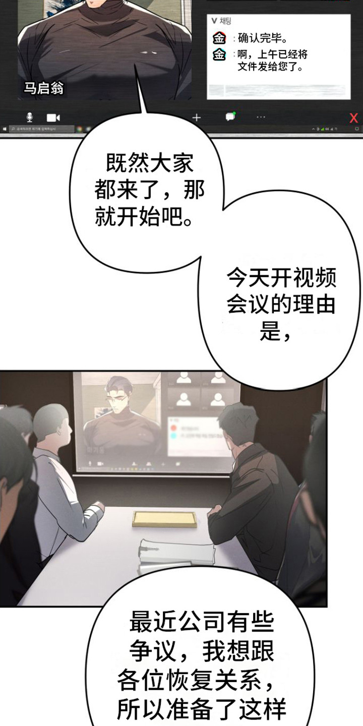 第13章：视频会议12
