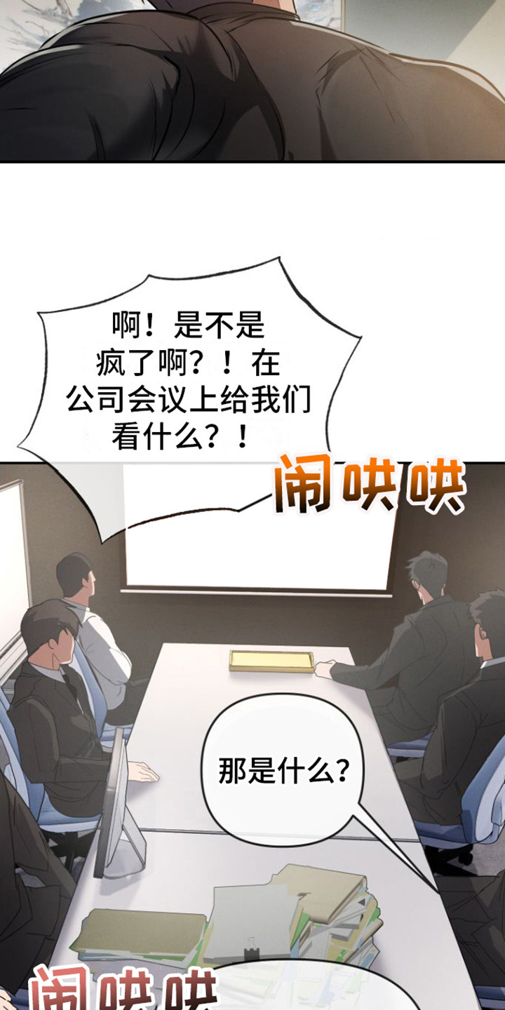 第13章：视频会议14