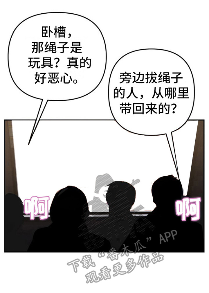 第13章：视频会议20