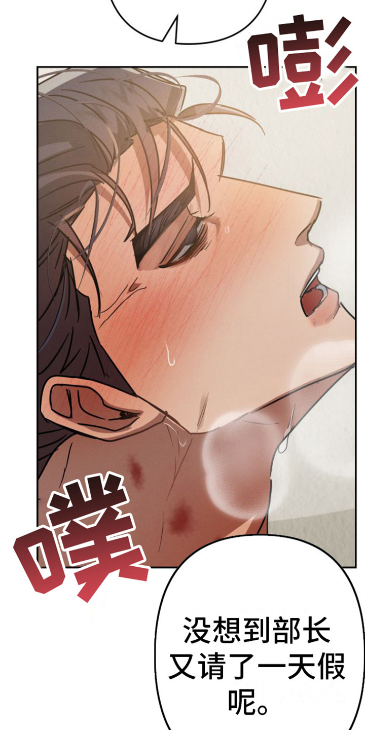 第13章：视频会议5
