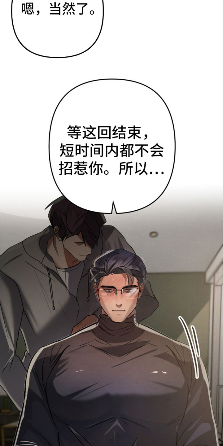 第13章：视频会议9