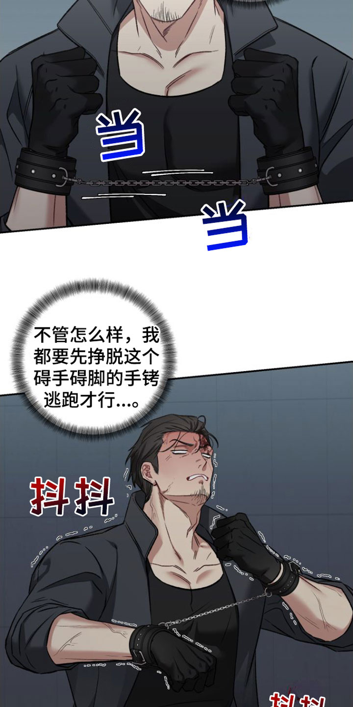 第3章：撞个正着13