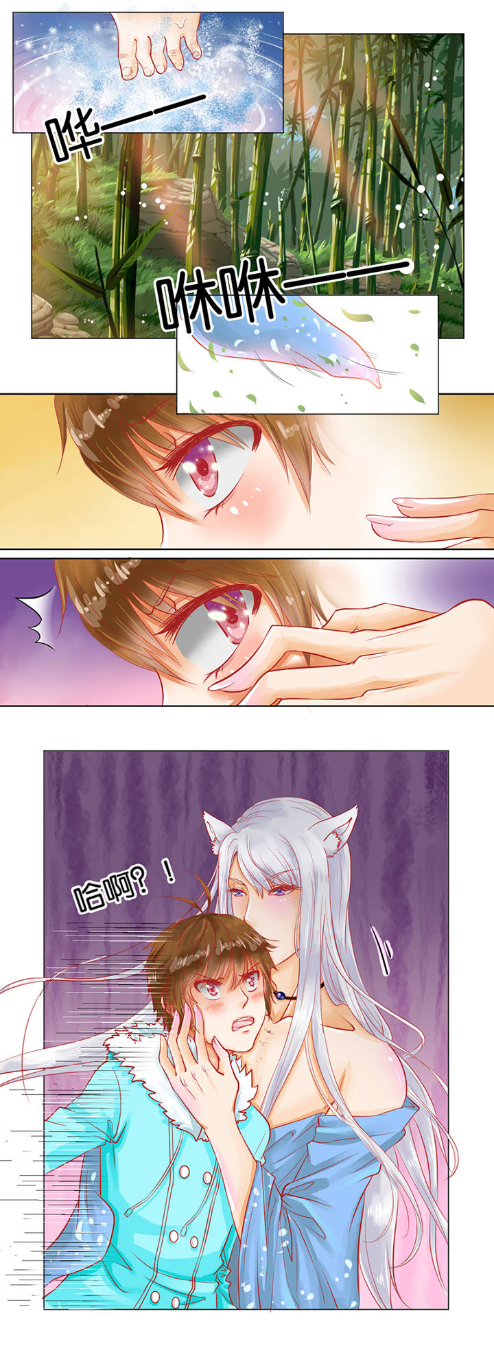 第1章：5
