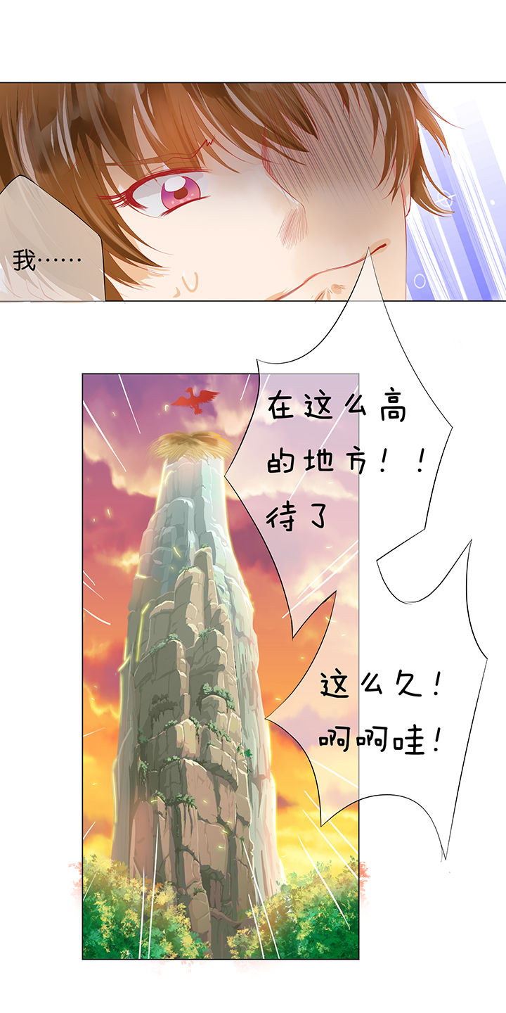 第6章：6
