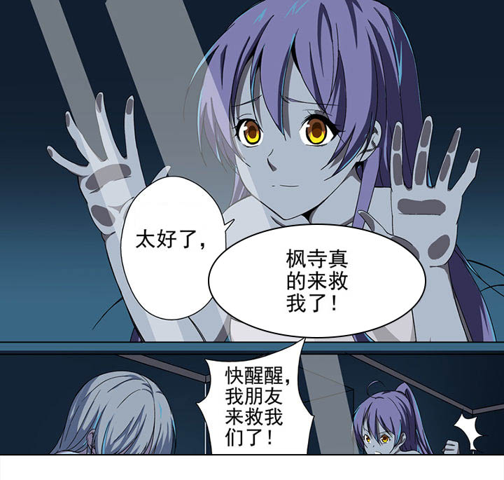 第29章：7