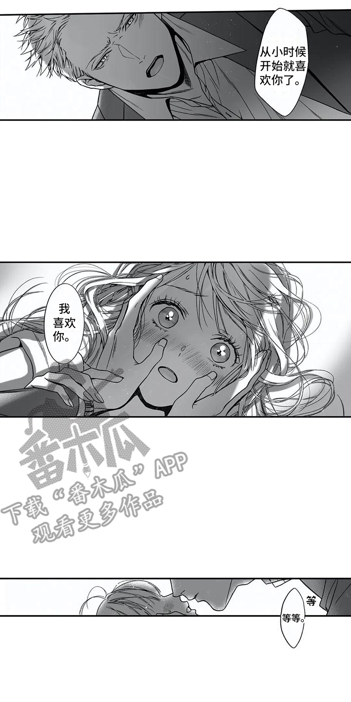 第15章：表白11