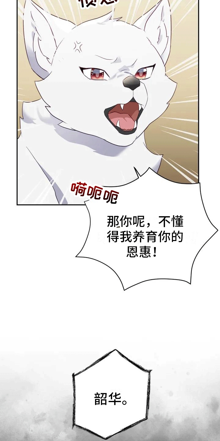 第1章：威胁18