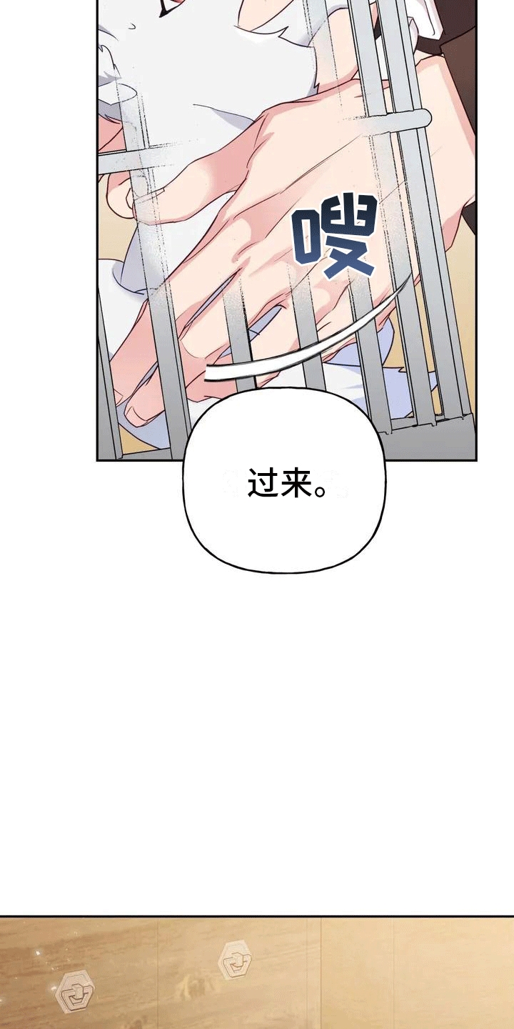 第1章：威胁24