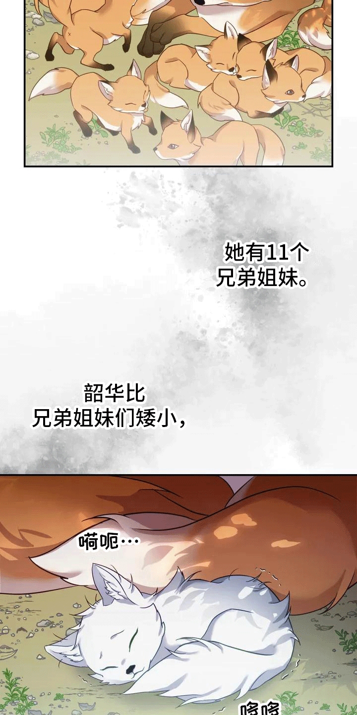第2章：抛弃17