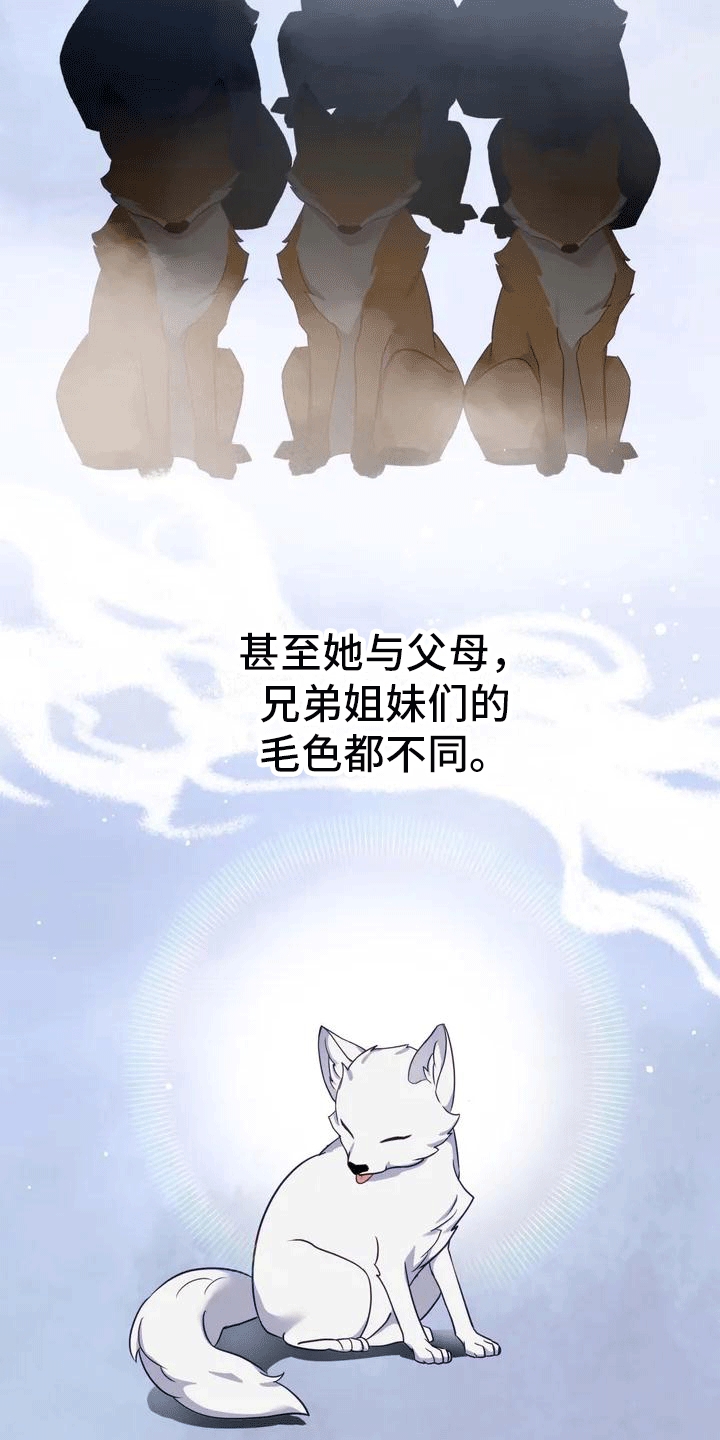 第2章：抛弃19