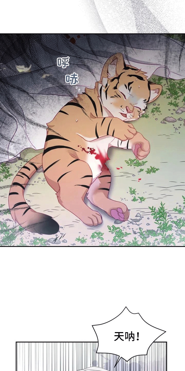 第3章：独自27